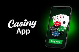 Casiny Casino Review 7
