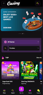 Casiny Casino Review 7
