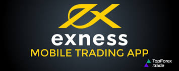 Comprehensive Guide to Exness Metatrader 5 5