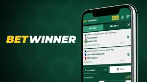 Understanding BetWinner Bets A Comprehensive Guide